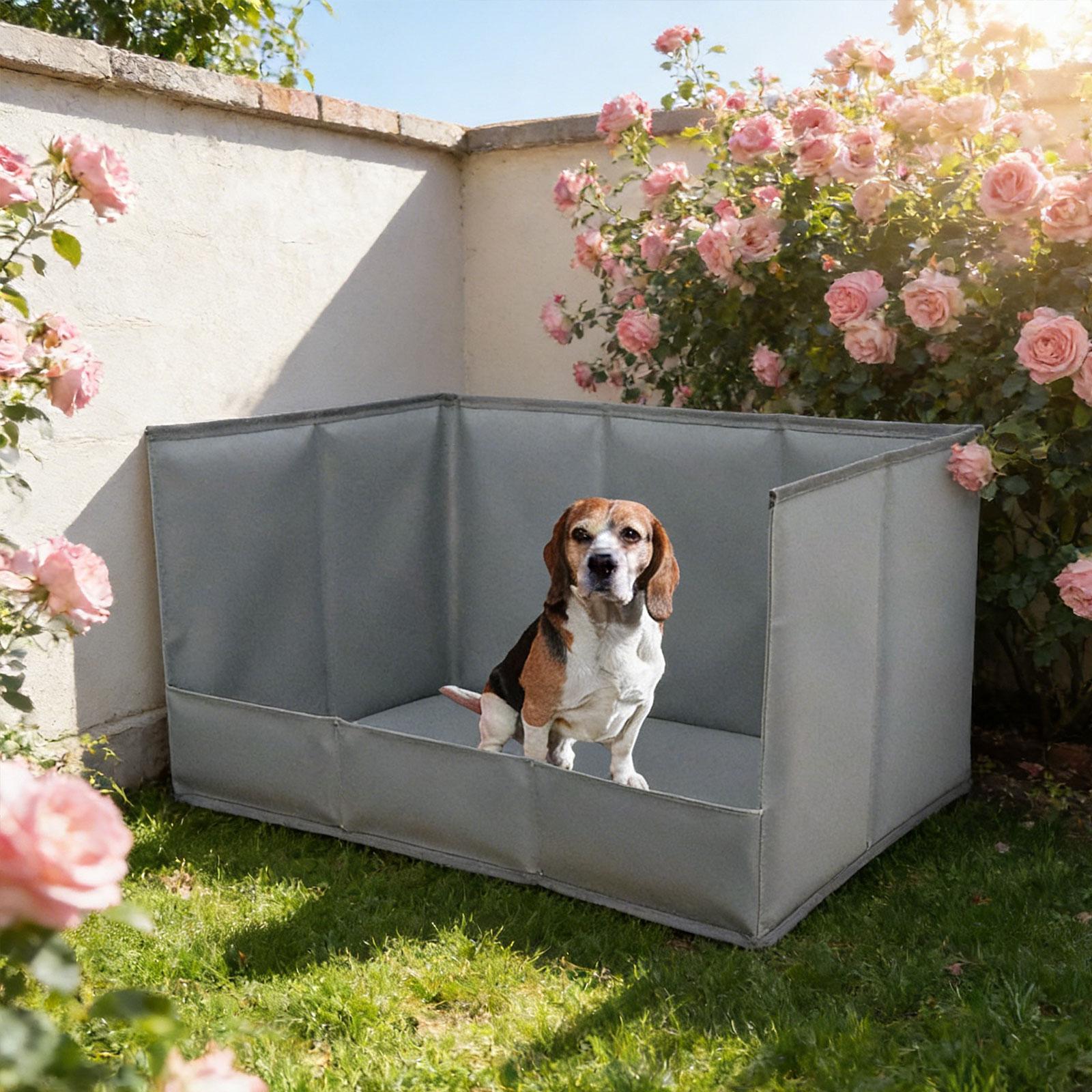Vassoio Portatile per Cani da  - Bench Dog Hole recensione e prezzo