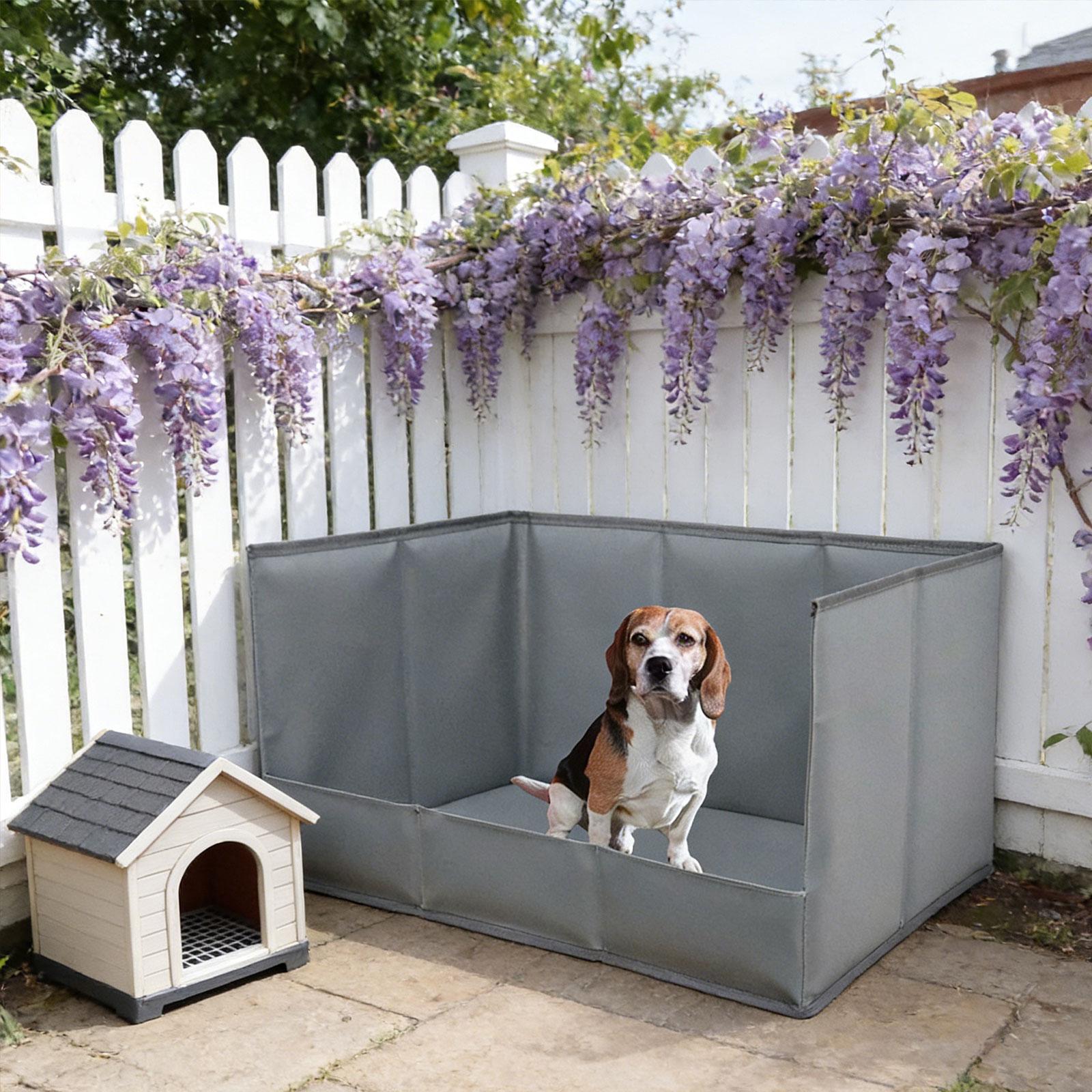 Vassoio Portatile per Cani da  - Bench Dog Hole recensione e prezzo